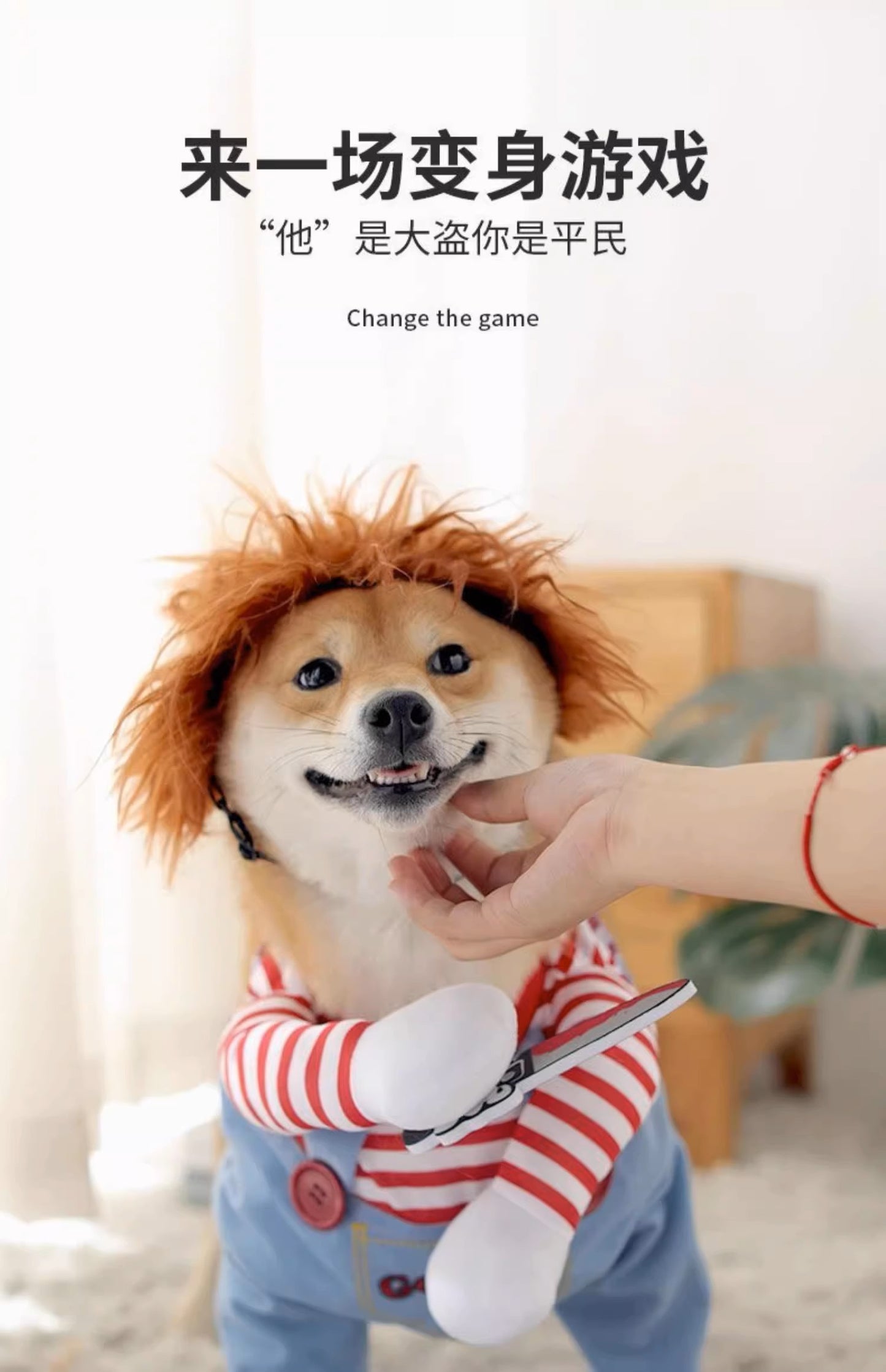 Doggie Dress