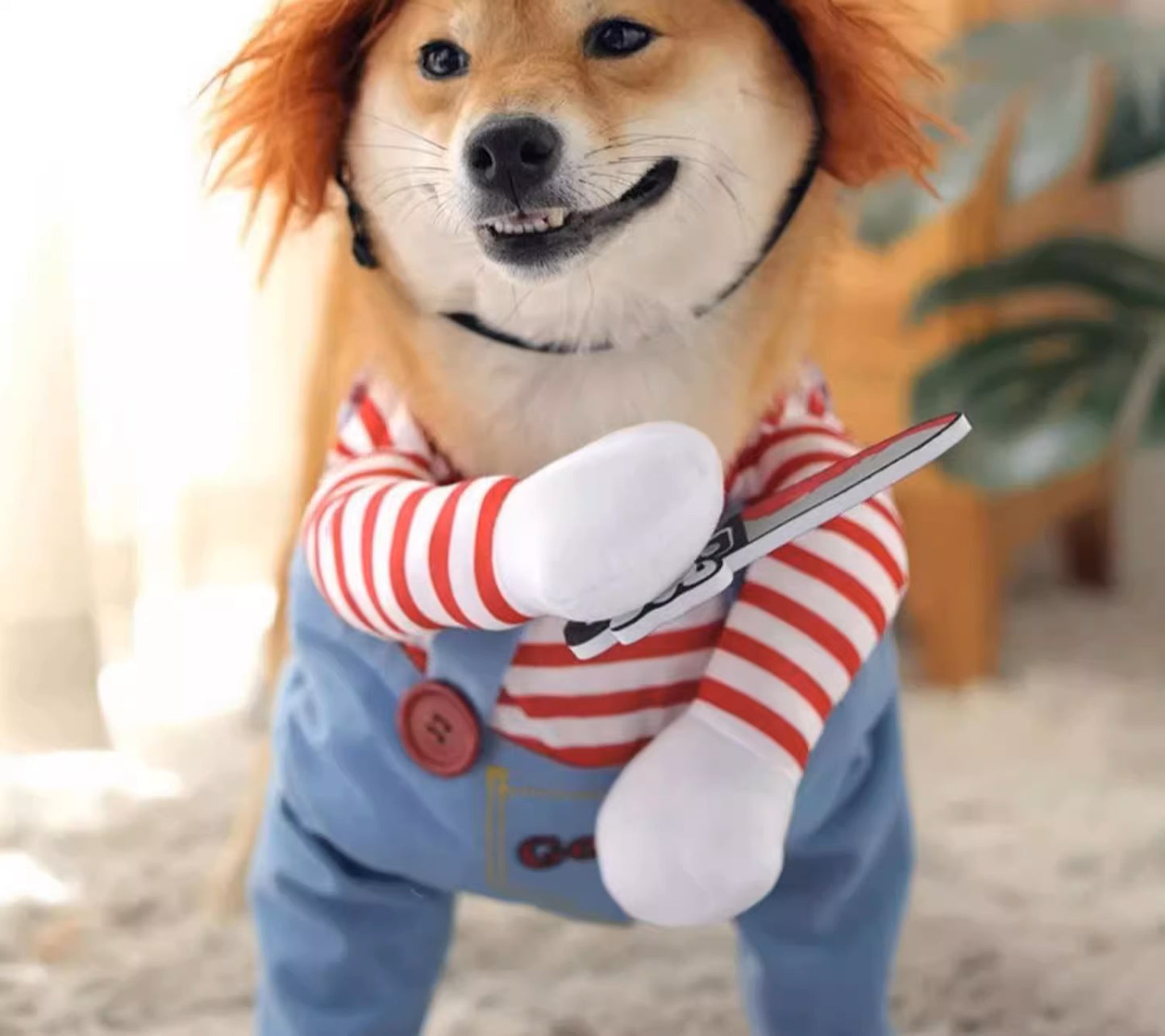 Doggie Dress