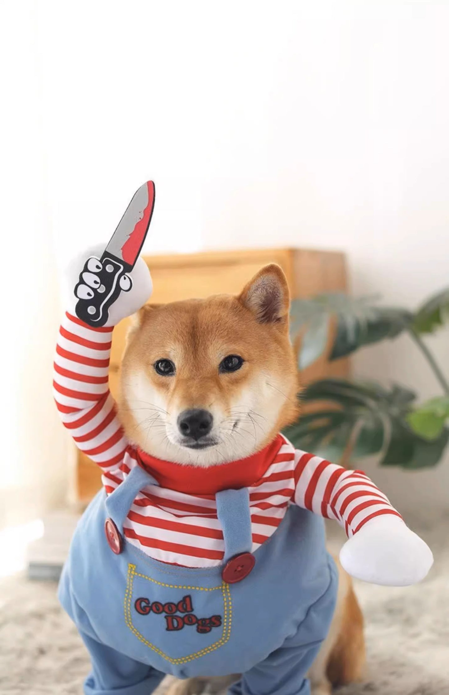 Doggie Dress